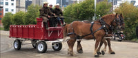 Cavallo BFB Boot