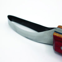 Bloom Loop Knife