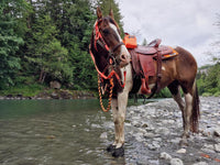 Cavallo Trek Boot