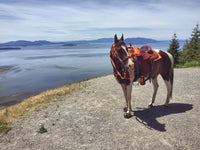 Cavallo Trek Boot