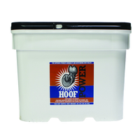 Hoof Power Supplement