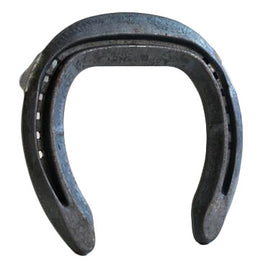 EDSS Centre Fit Quarter Clipped