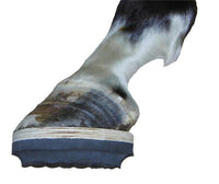 Equicast EVA Wood + Leather Therapeutic Shoe